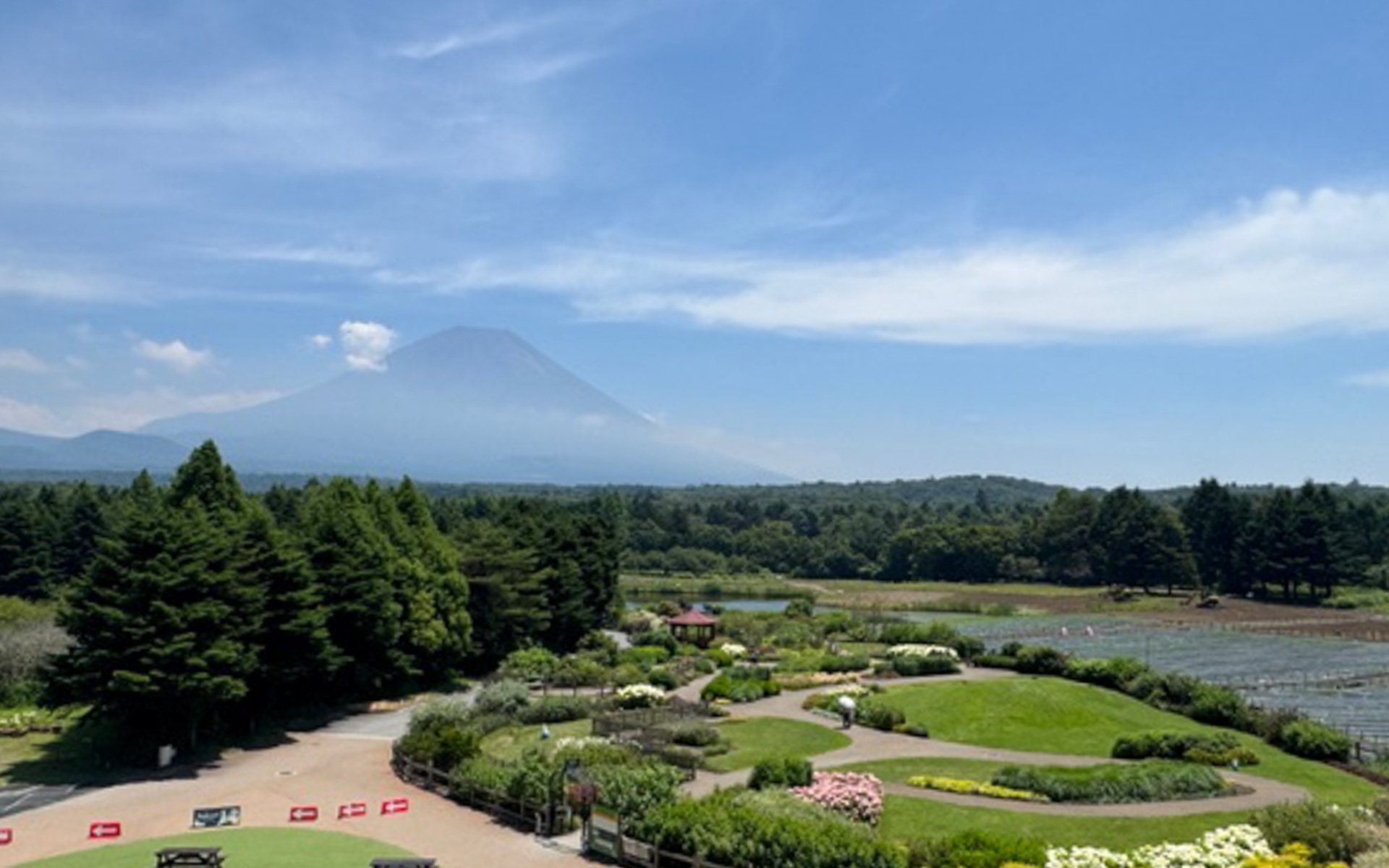 展望塔のいちばん上からの眺めに感動！　少し空が霞んでいましたが、富士山がうっすら見えました