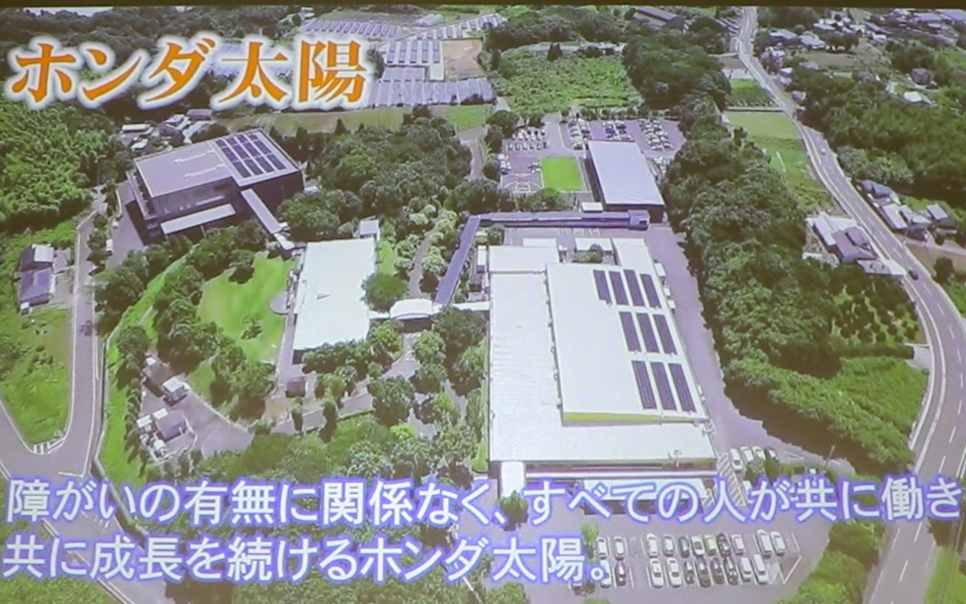 ハンディキャップのある人を積極的に雇用するホンダの特例子会社「ホンダ太陽」が45周年を迎えた