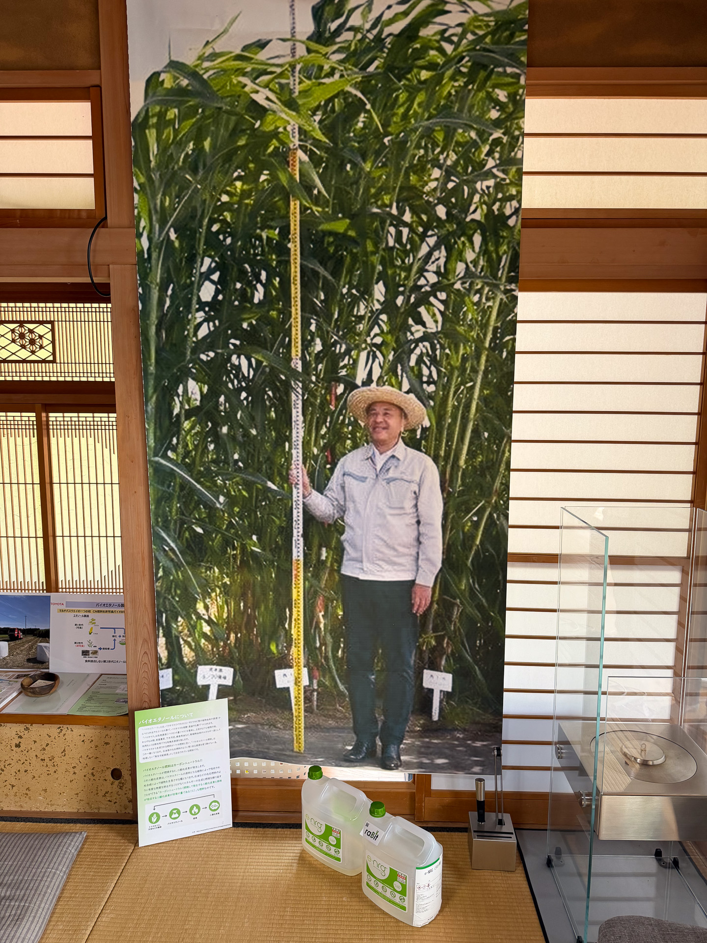トヨタらが同じ県内の大熊町で生産するソルガムの写真と、そのソルガムから生産されたバイオ燃料の展示