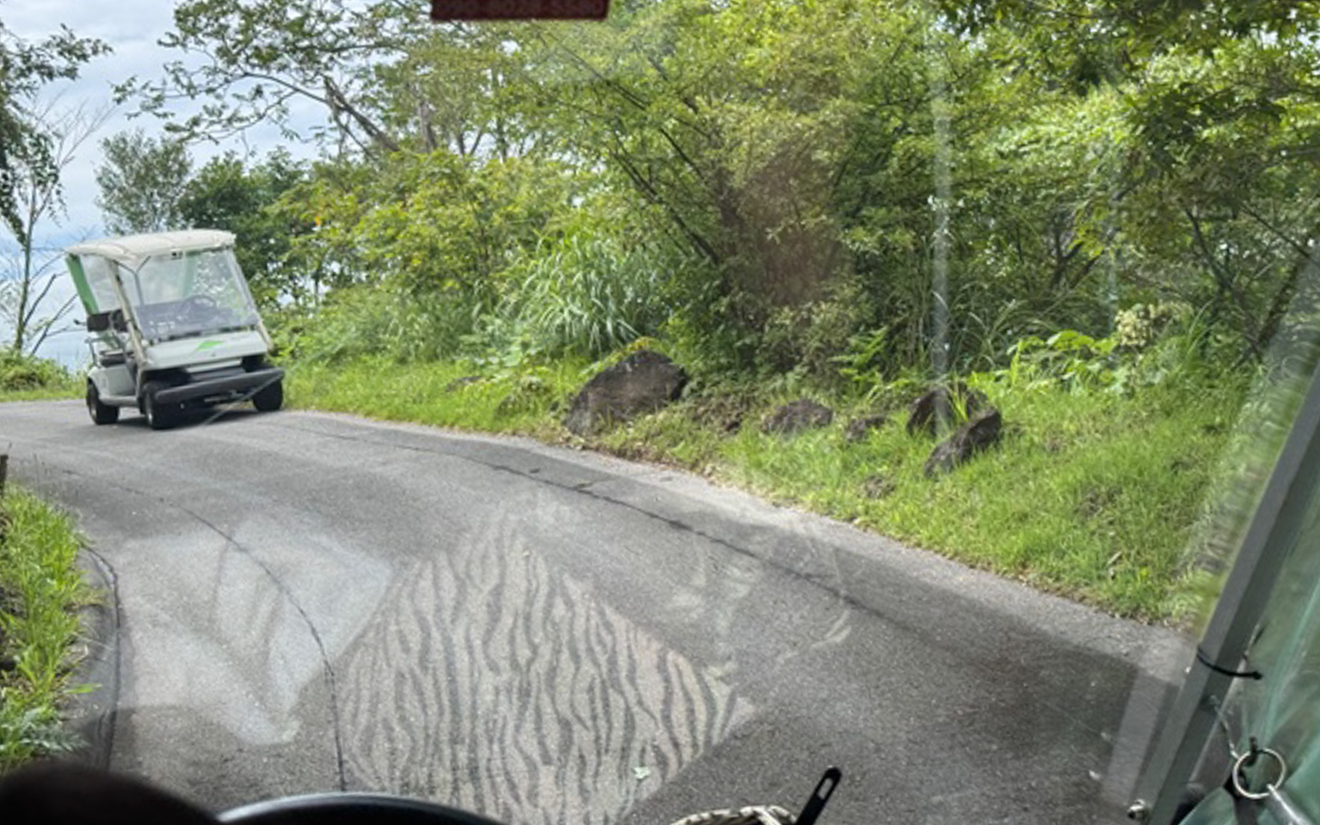 一見するとなんの変哲もない狭い山道を、自動運転で走っていく天空カート。対向車を見ると、かなり道幅ギリギリを攻めていてびっくりでした
