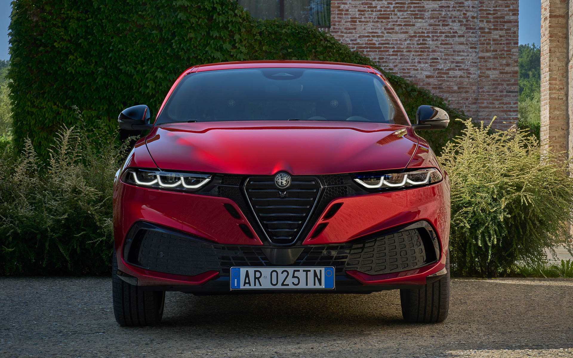 トナーレ イブリダ Sport Speciale