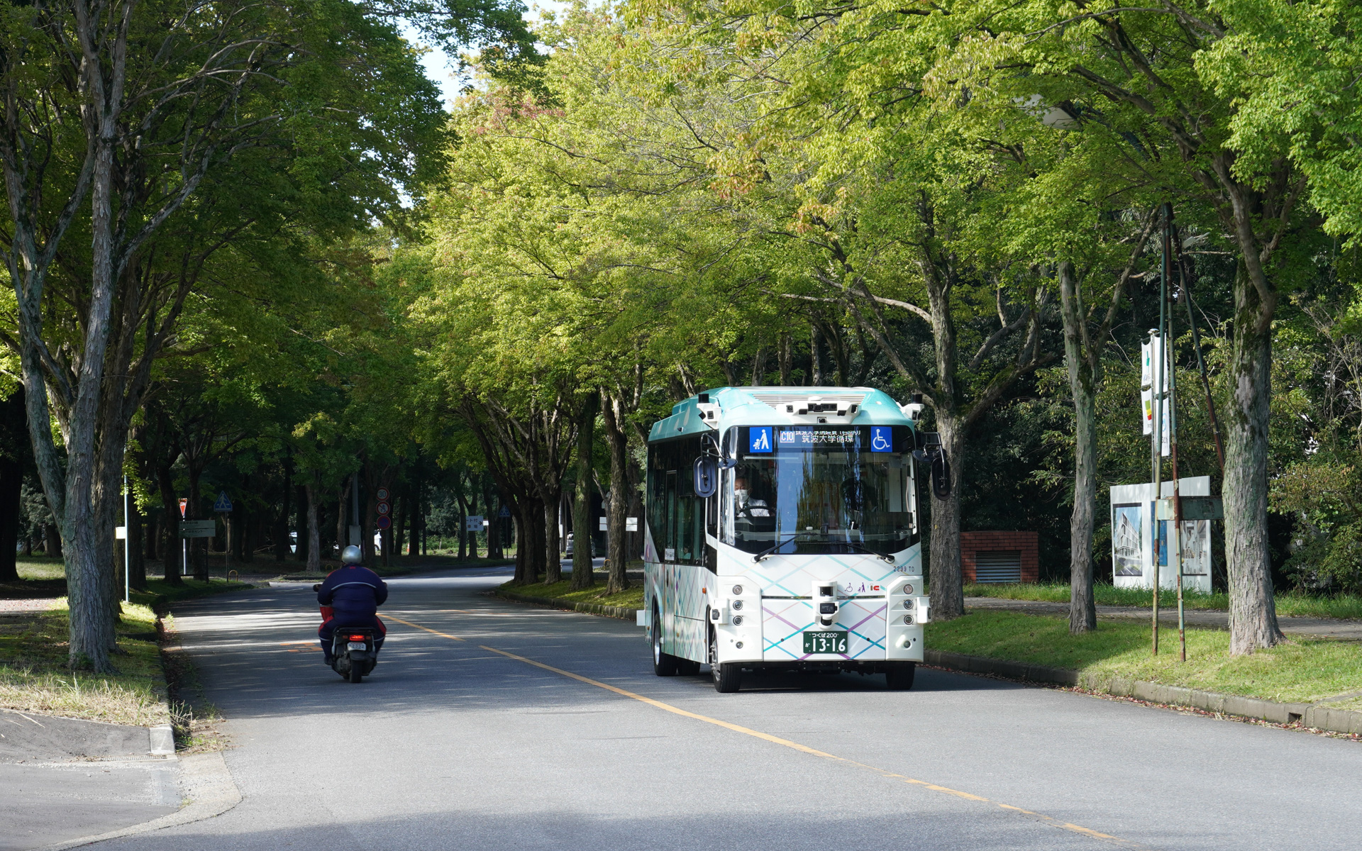 筑波大学内の道路を走行する自動運転バス。本来の自動運転はこの道路の反対向きに走行する