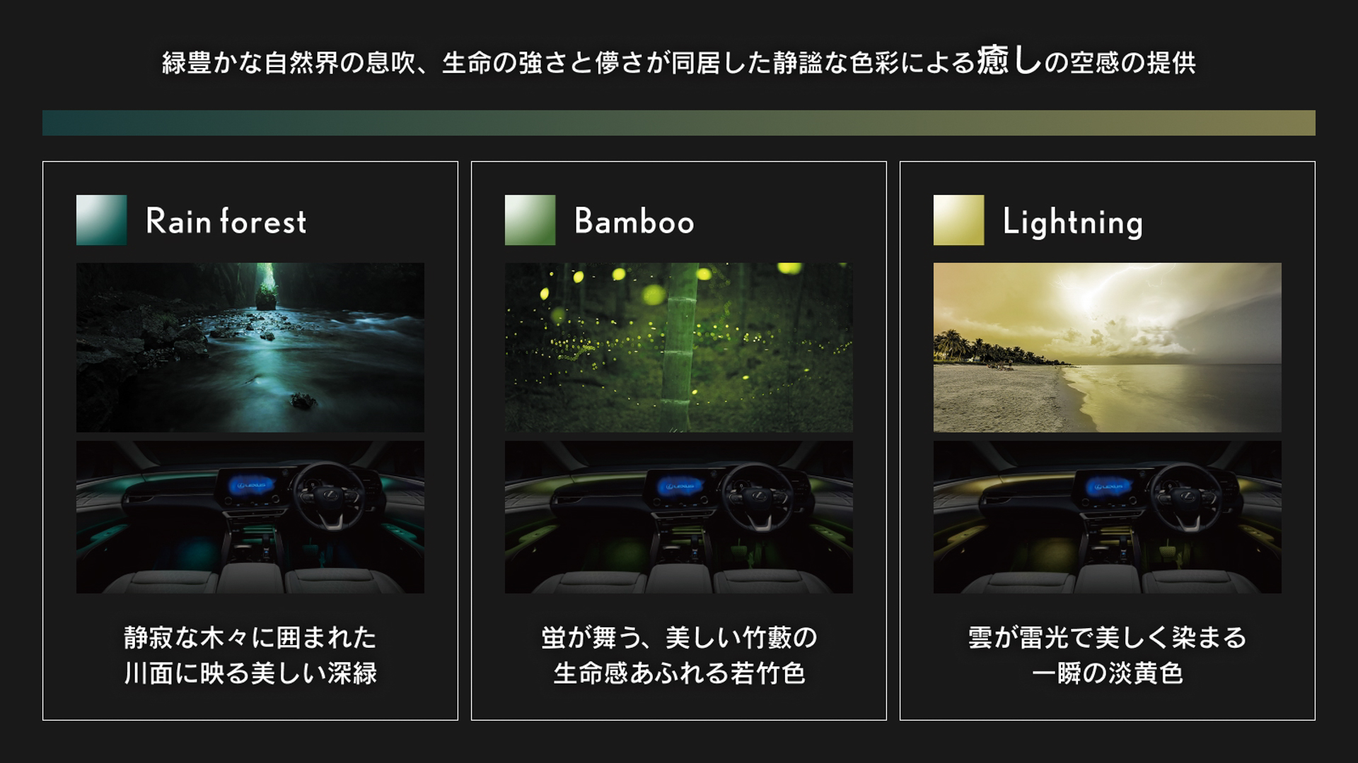 癒し系「Rain forest」「Bamboo」「Lightning」