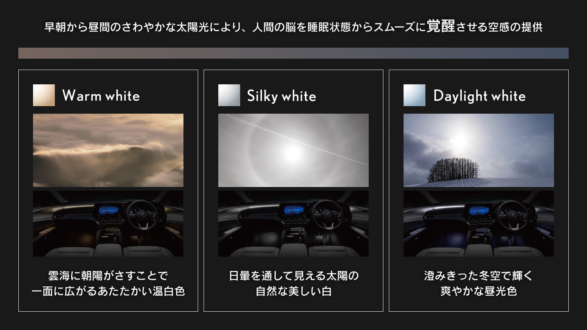 覚醒系「Warm white」「Silky white」「Daylight white」