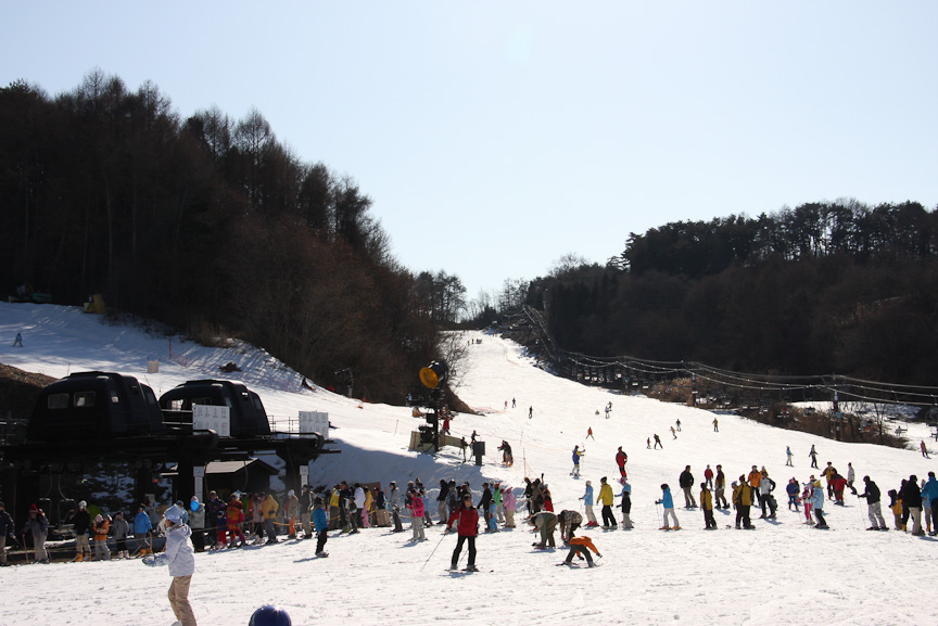 斜面は緩斜面が多く、初心者でも安心して楽しめる