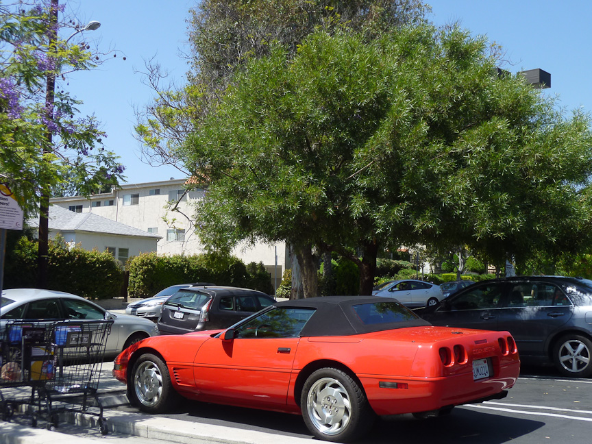 旧いレッドのコルベットの存在感は新しいモデルに負けてなかった