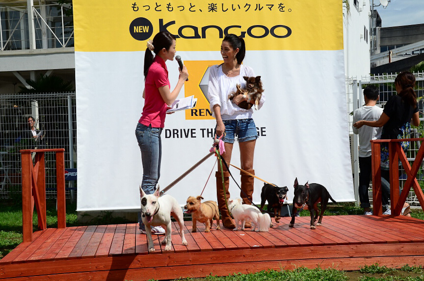 会場には森泉さんが愛犬6匹を従えて登場。プロデュースしたラゲッジルームについて「コンパクトなのにいっぱい入るのでびっくりした」と説明。また、ペットを保護する「セーブ・ザ・ペット」の活動も行っている森さん、愛犬2匹は捨て犬だったことも明かされた