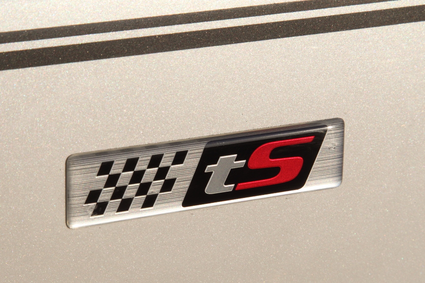 tSであることを示すエンブレム類