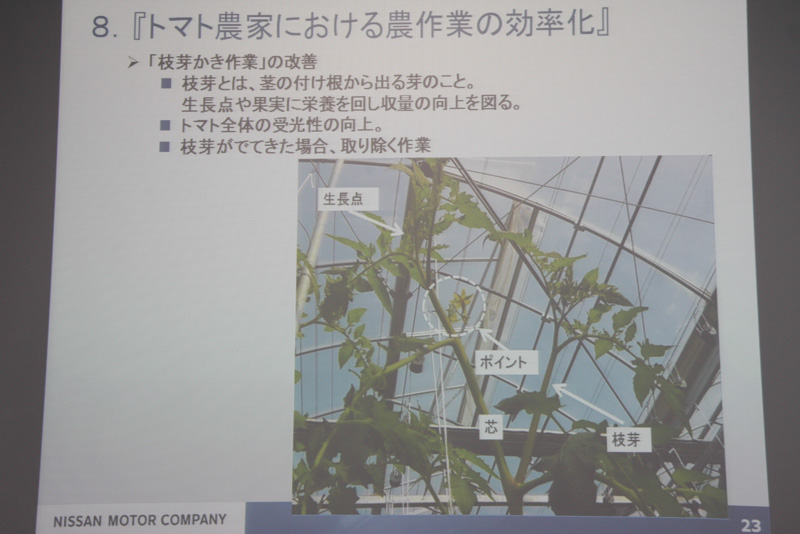 日産のコンサルティングビジネスの相手がトマト農家、というサプライズ。とはいえ、従業員数15人の農業生産法人での事例となる。近年注目されている規模が大きい農業形態だが、人数が多いだけにベテランと新人の間で生産性に差があることが改善点となった