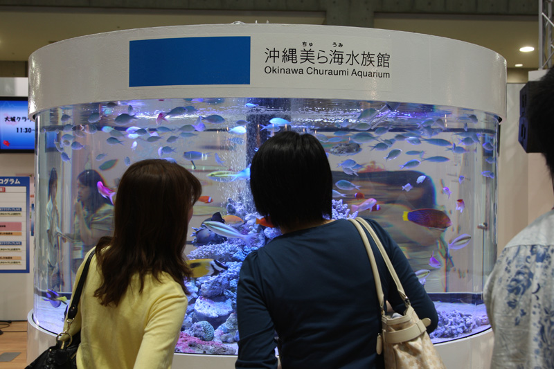 美ら海水族館の魚たちを展示していた沖縄ブース。この他にもいくつかの道府県が展示を行っていた