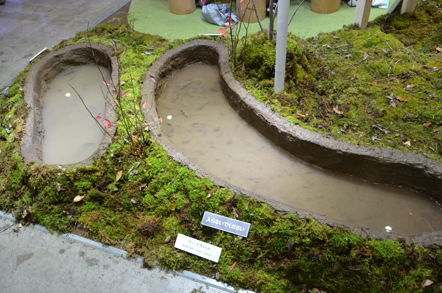 池もブース内に再現