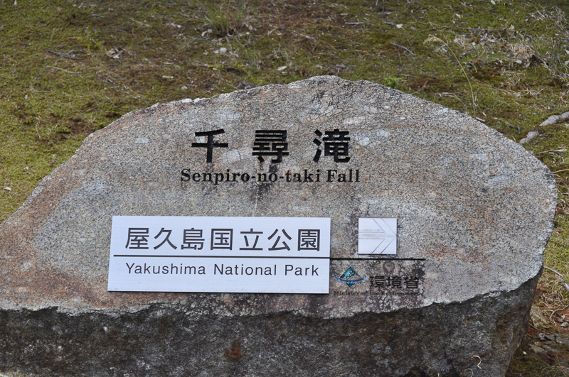 千尋滝の入口まで行ってみました