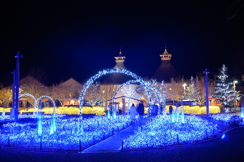 河津桜はなばなの里の会場内に咲いていて、アウトランダーPHEVとライトアップされた河津桜を絡めた撮影はできなかったものの、会場内ではとても美しい夜桜やイルミネーションを楽しむことができた。このライトアップが行われているのは3月31日まで。行ったことがない方は、ぜひ現地で春を感じていただきたい