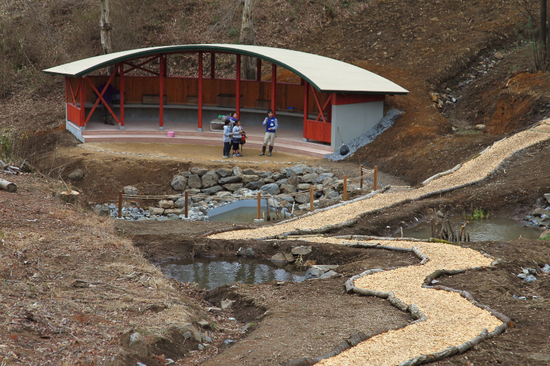 沢に住む色々な命と生態系に触れられる「ミズスマシの沢」