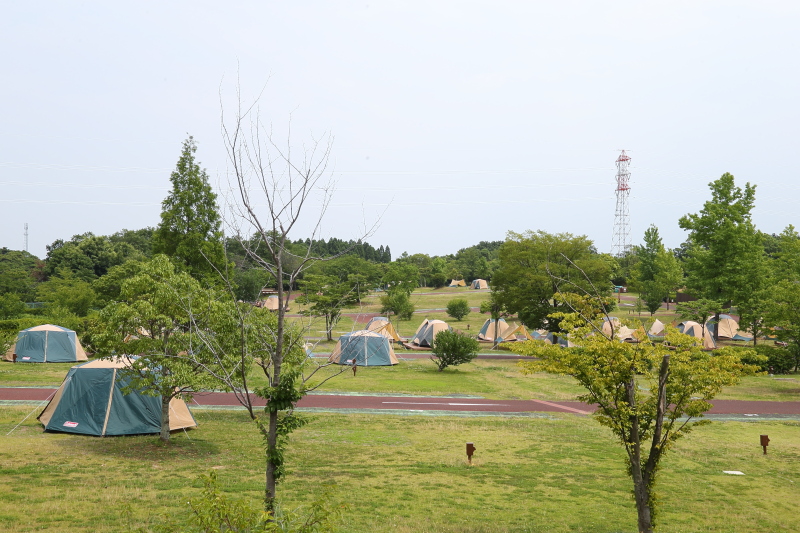 広大な敷地に135ものサイトを有するオートキャンプ場