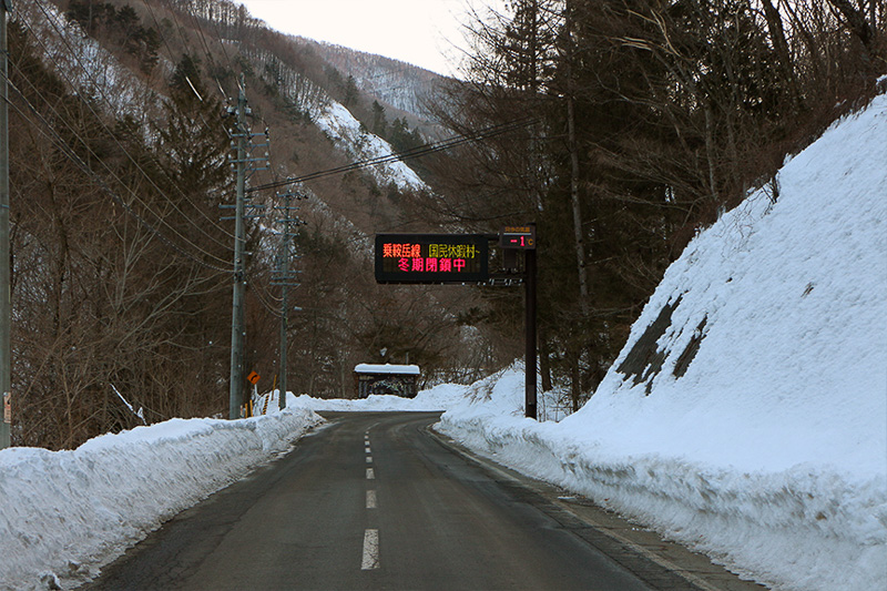 はーい！またまたおなじみ、乗鞍高原に向かういつもの道路まで来ましたよ～。……雪がない（大汗