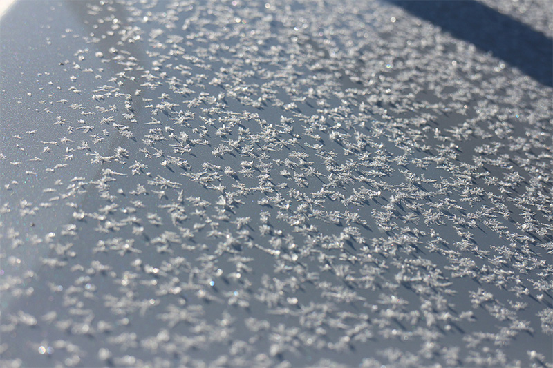 朝の気温は－10℃前後、綺麗に氷の花が咲いていた