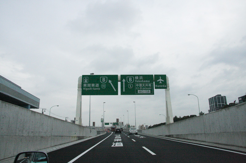 分岐は地上部にある