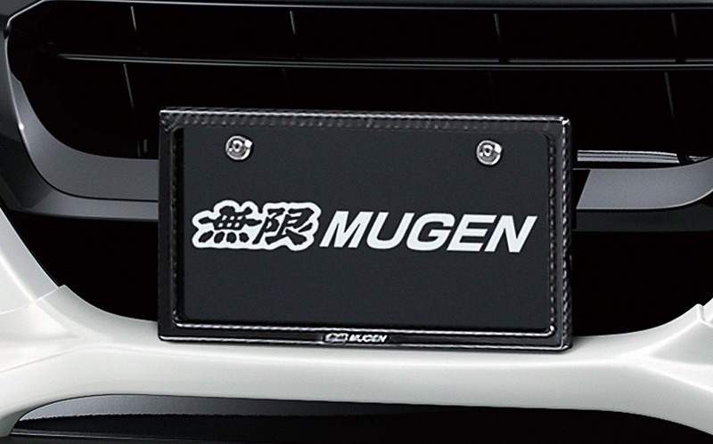 カーボンナンバープレートガーニッシュとボルト