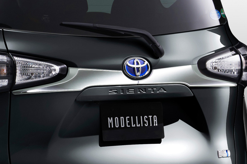 バックドアガーニッシュ：2万5920円