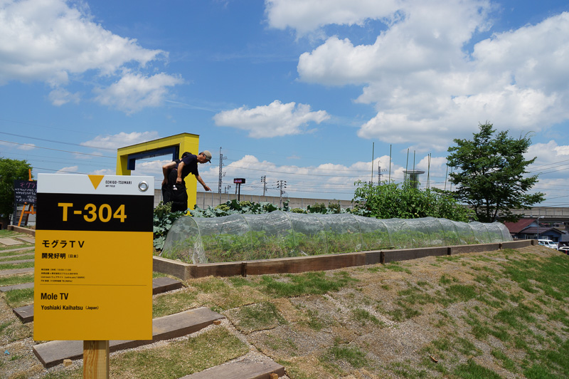 越後妻有地域に約380の作品展示が行われ、里山を巡りながらアートを観賞する「大地の芸術祭 越後妻有アートトリエンナーレ 2015」