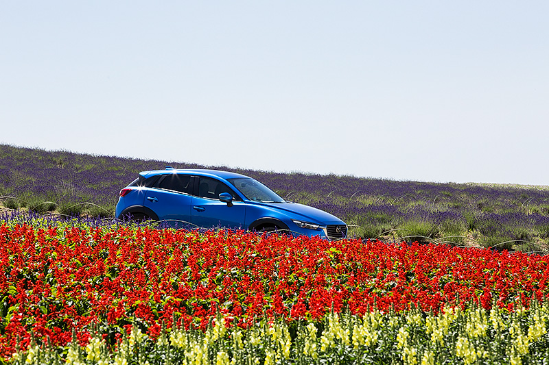 美瑛や富良野に点在する北海道ならではの観光スポットを巡りながらCX-3のロングラン性能をチェック
