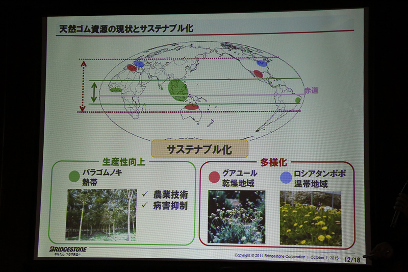パラゴムノキの原産地は南米だが、この地域では病害などが起きやすいとのことで、製品化に向けた栽培は同じ赤道周辺の東南アジア地域で行われている。これに対してグアユールは乾燥地帯が栽培地。さらにロシアタンポポは温域地帯となっており、このように産地をバラバラにすることで供給の安定化が図れる