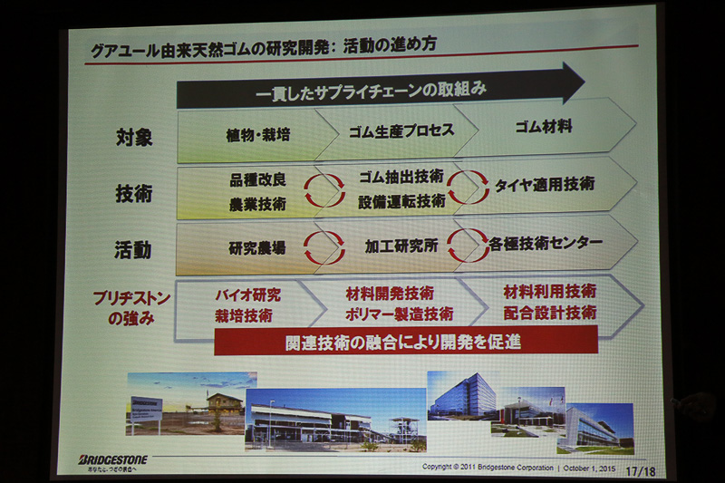 ブリヂストンは栽培から品種改良、加工まで一貫して行っているのが強みであるという。関連技術を融合させることで全体の研究が確実に進んでいく