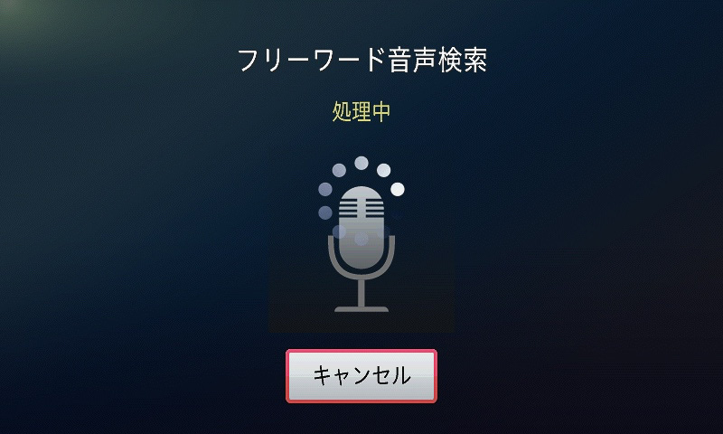 通信を利用することでフリーワード音声検索が利用できる