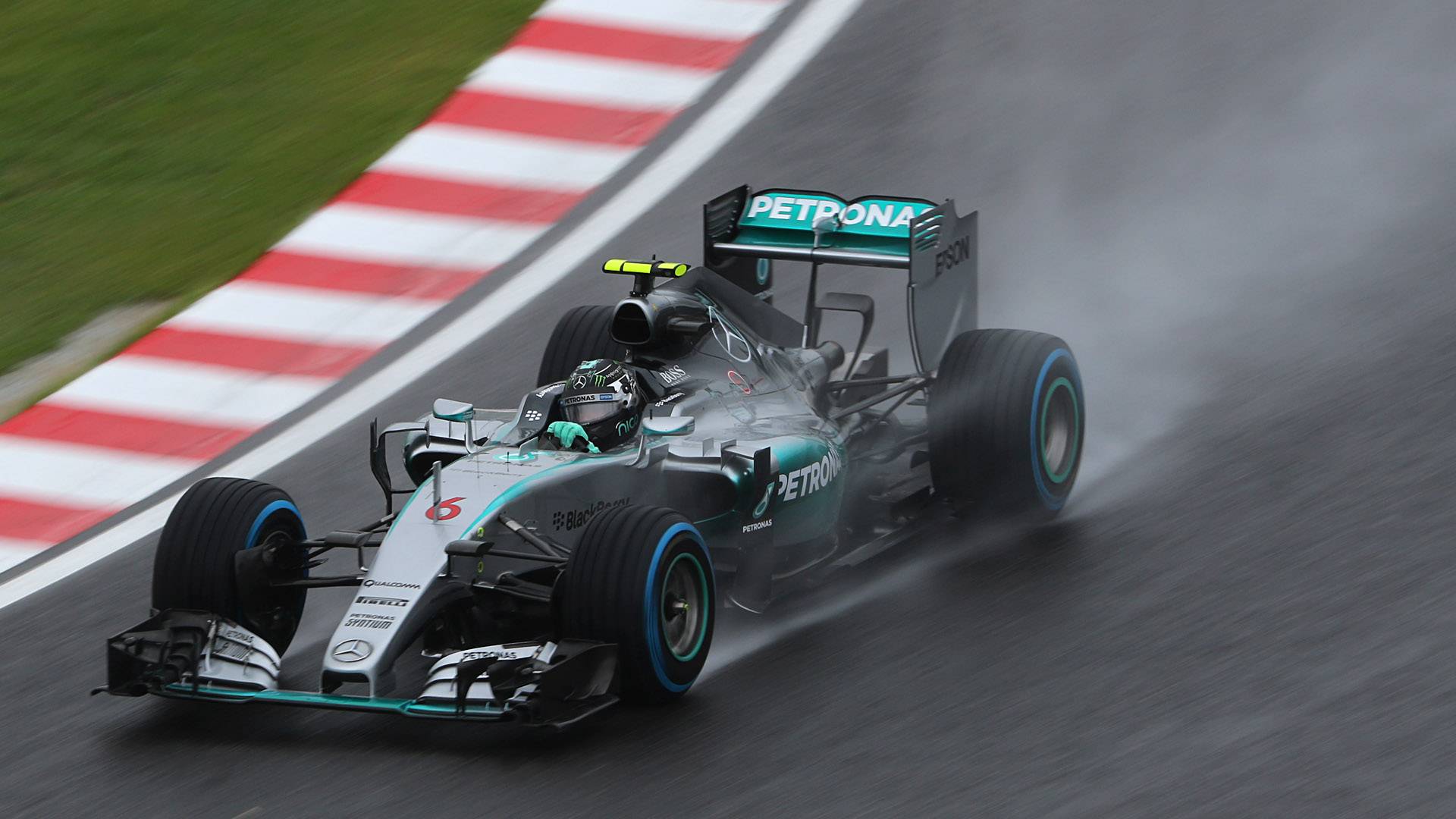 フォトギャラリーに掲載した写真。シャッター速度1/125秒、焦点距離は400mm