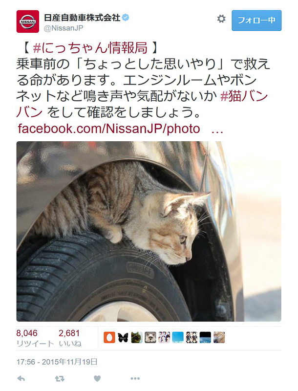 2015年11月19日に同社公式Twitterにて「#猫バンバン」を発信して以来、SNS上で多くの反響を得たという
