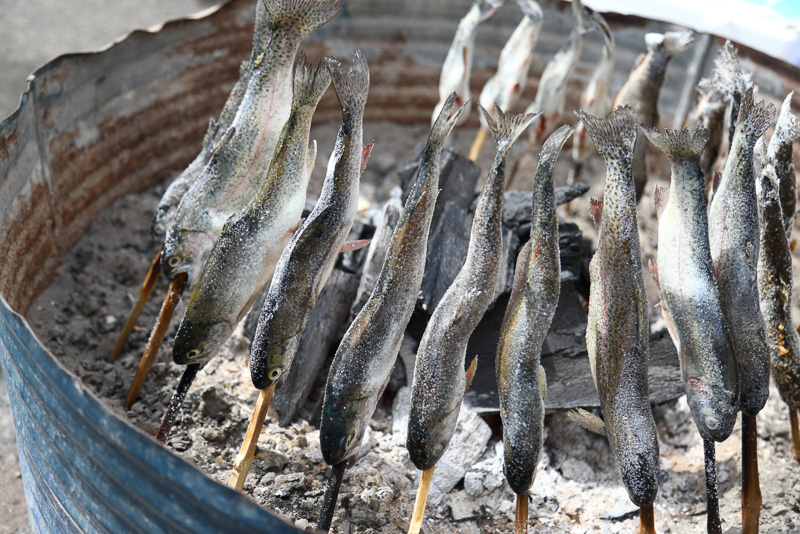 「SUBARU ACTIVE LIFE SQUARE」のコーナーや地元の飲食店の出店コーナー。会場で焼かれていた川魚は、このテストコースからほど近い旗川で獲れたイワナやニジマスだそうだ