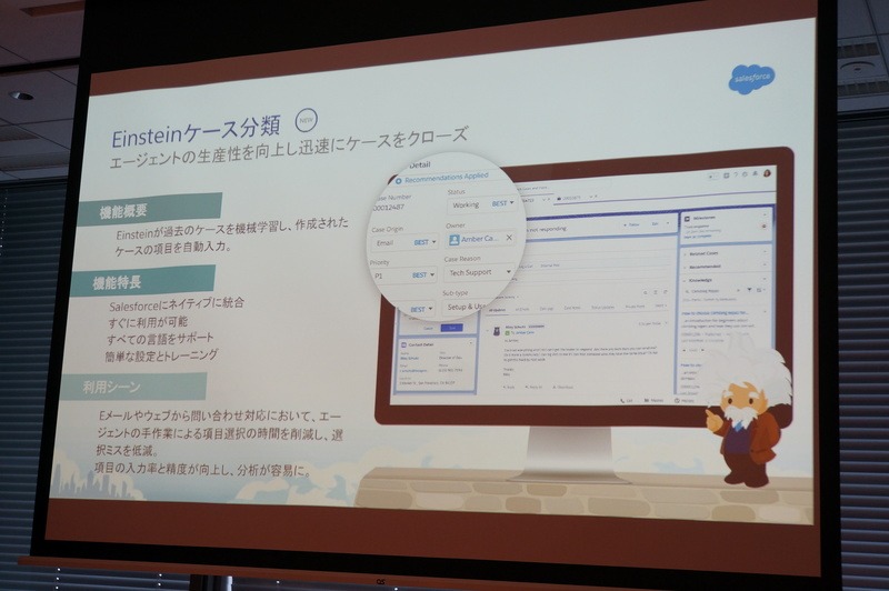 Einsteinケース分類