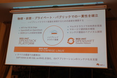 オープンハイブリッドクラウドでit業界を変える 望月社長がレッドハットの事業戦略を説明 クラウド Watch