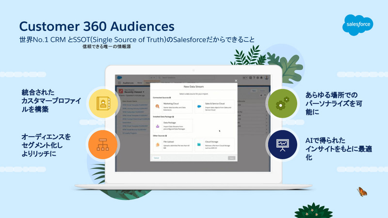Customer 360 Audience