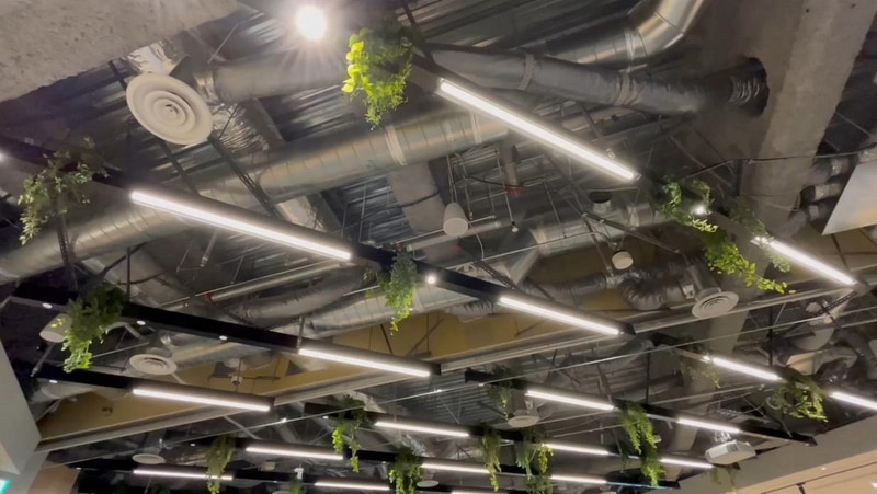 さまざまな場所にスピーカーが設置され、自然の音が流れている