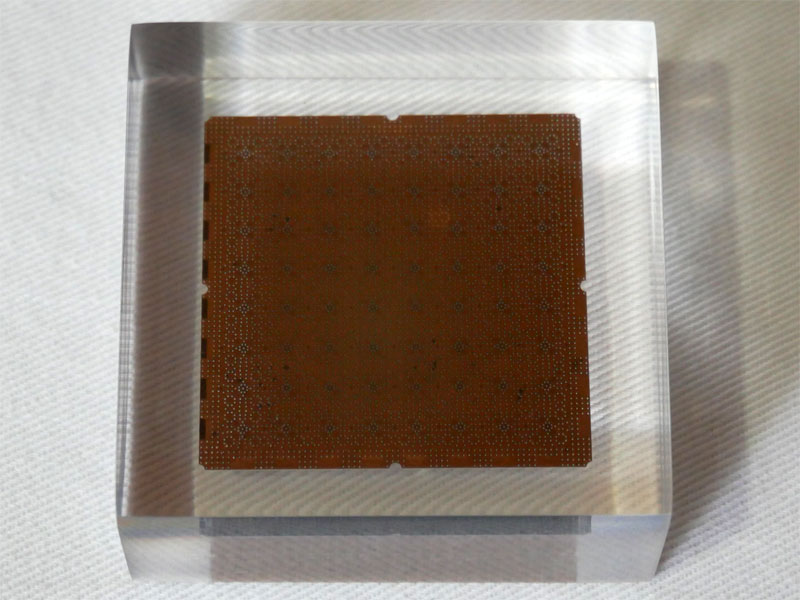 256量子ビットチップ