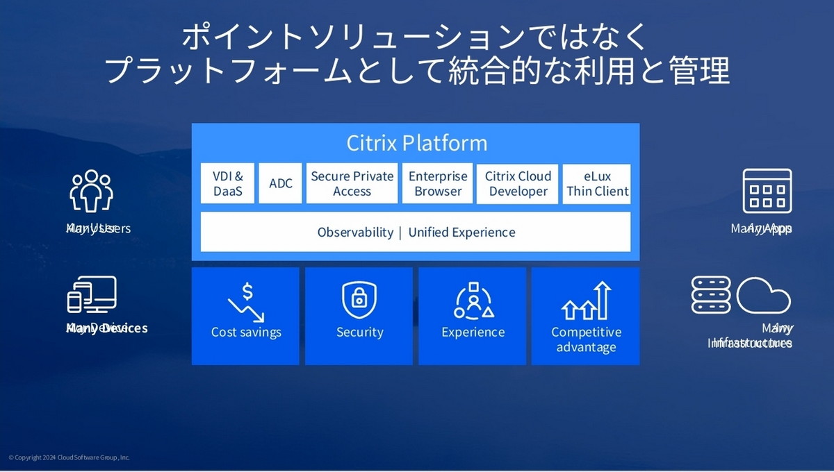 Citrix Platform