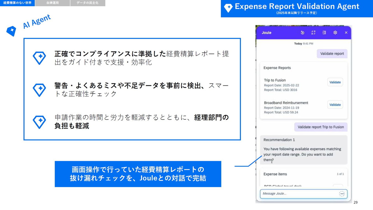 Expense Report Validation Agent