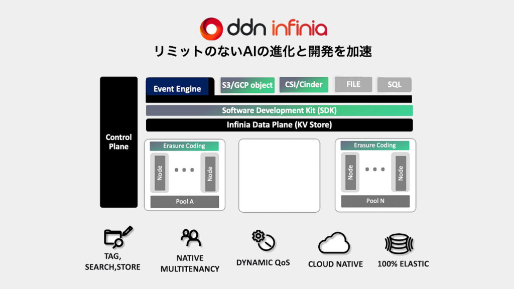 DDN Infinia