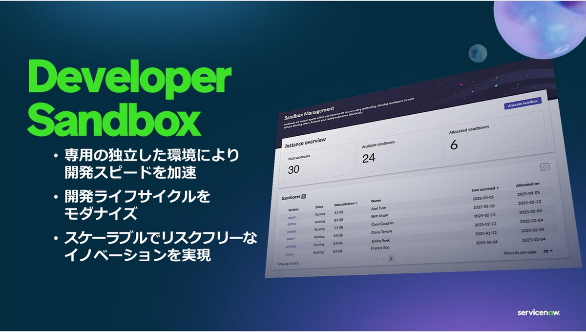Developer Sandbox