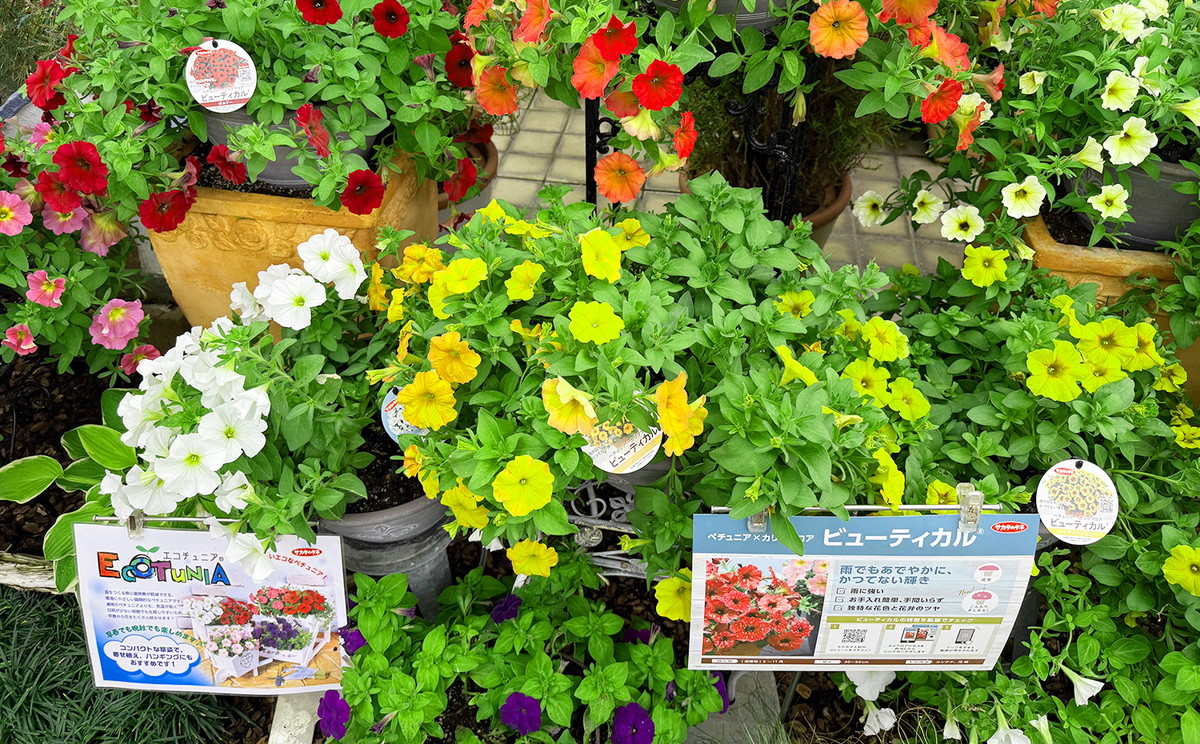 グリーンプラザのご紹介