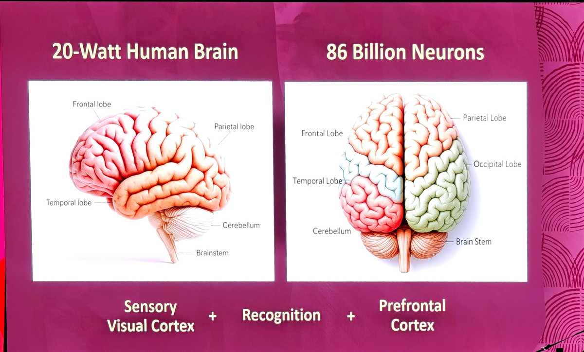 人間の脳は20ワットと少ないエネルギーで非常に高い性能を発揮するが、それと同じ性能を実現するには860億ニューロンのAIコンピューターが必要