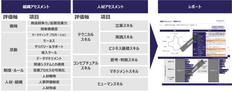 「レベニュー組織・人材アセスメントサービス」概要