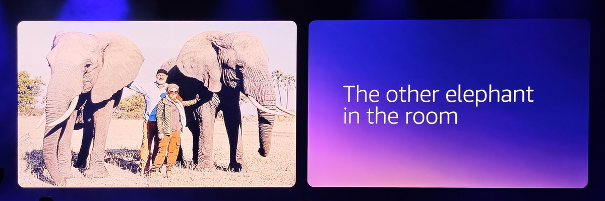 The elephant in the room