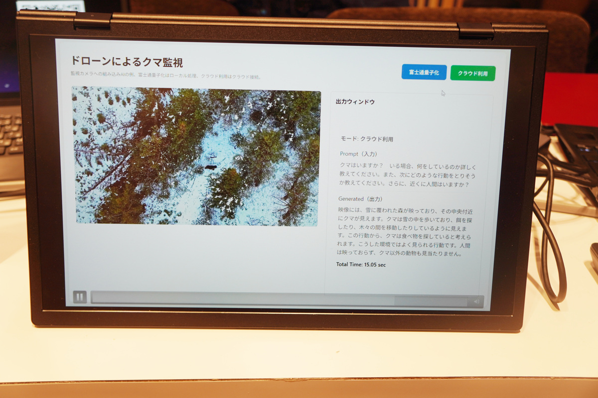 動画から熊を検知し説明を生成するデモ