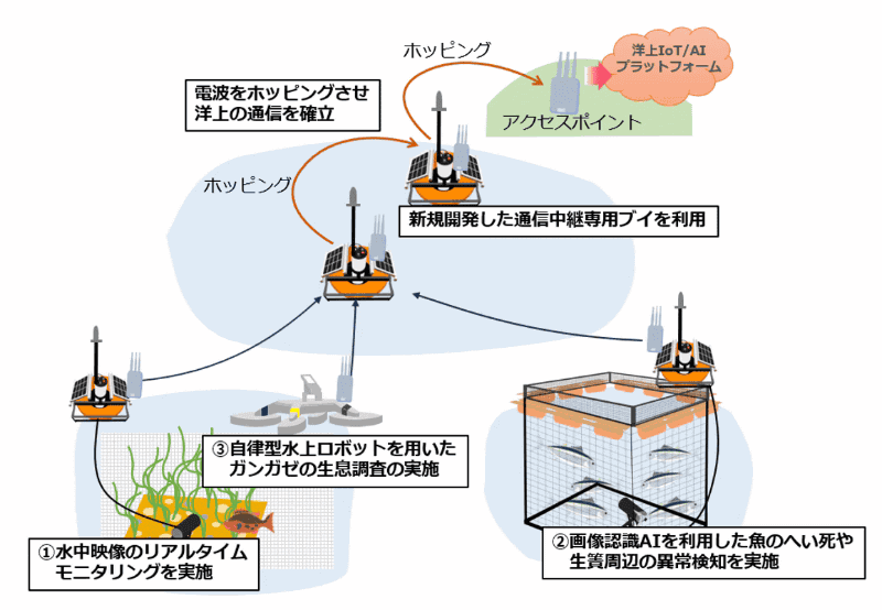 実証のイメージ図