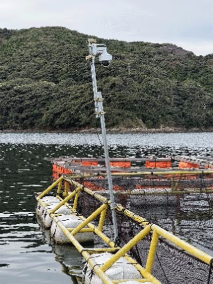 養殖生け簀に設置した監視カメラ