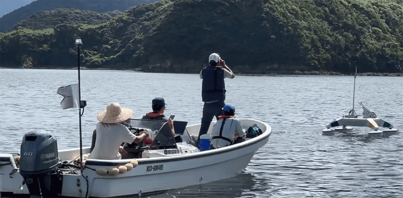 自律型水上ロボットによる調査の様子