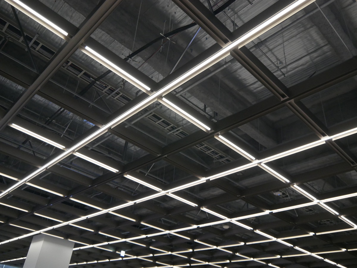 天井に配置された照明はLEDを利用している